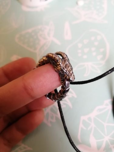 Customer photo review of Bague Dragon<br> Ouroboros (Acier)