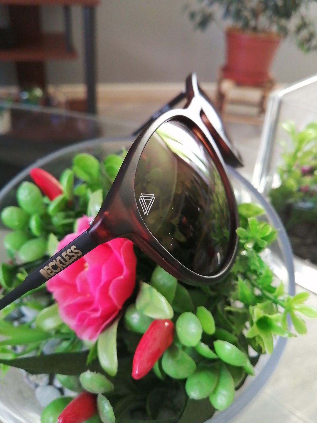 Customer photo review of Wolf Tortoise