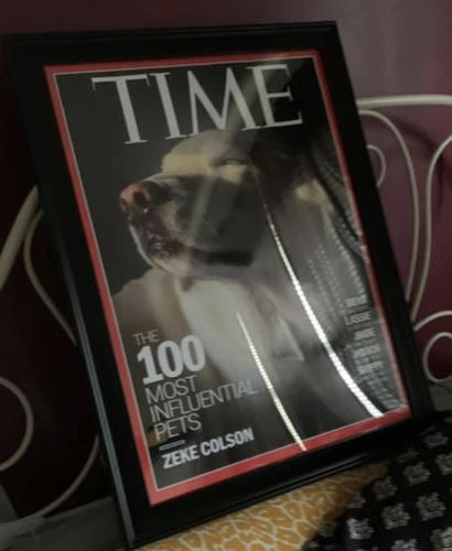 Customer photo review of Posing Pig Custom Print