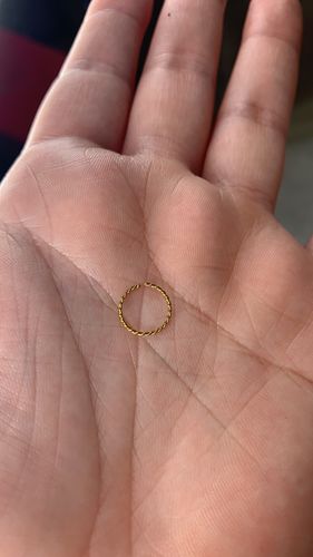 Customer photo review of Annealed Braided Segment Ring Septum, Nose, Daith