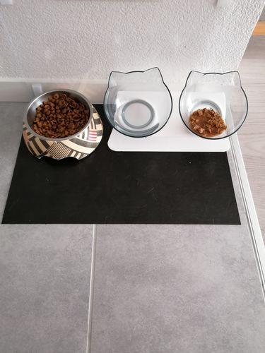 J Aime Vraiment Chat Avis 10 037 Avis Jaime Vraiment Chat Com