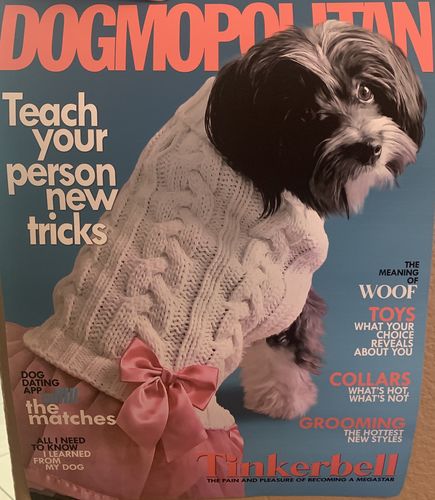 Customer photo review of Posing Pig Custom Print