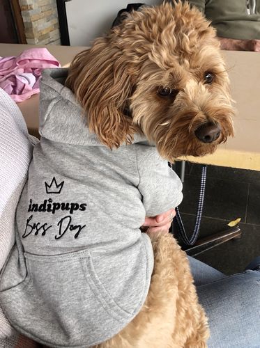 Customer photo review of Custom DOG hoodies