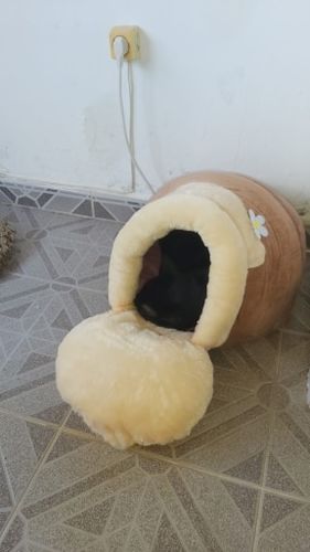 Customer photo review of Cat Igloo Insulated House