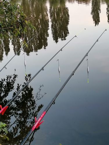Customer photo review of 5g Smart Fishing Float