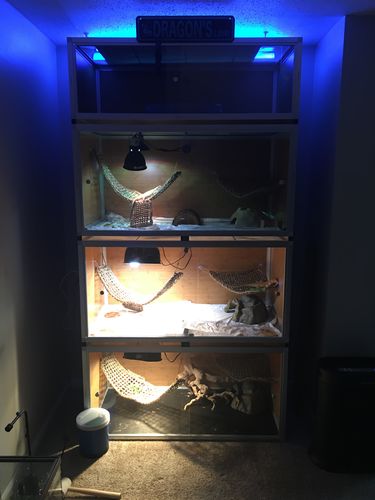 Customer photo review of 4'x2'x2' Wood Panel Reptile Enclosure by Zen Habitats