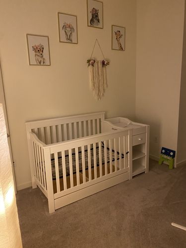 Customer photo review of Flower Crown Animals Canvas Prints