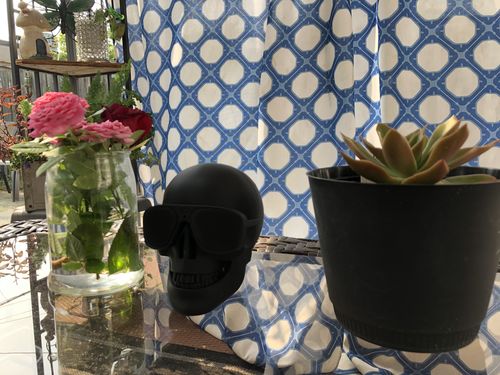 Customer photo review of Just Love Skulls Speaker