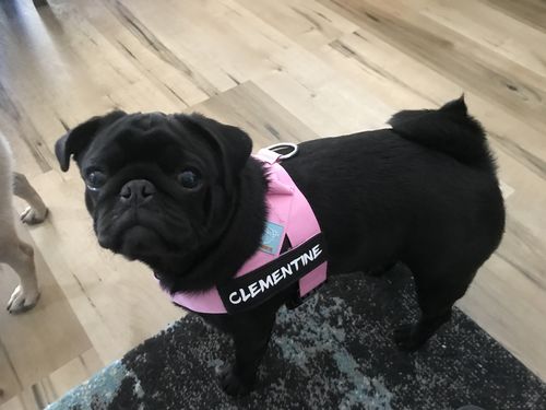 Customer photo review of Signature Kit