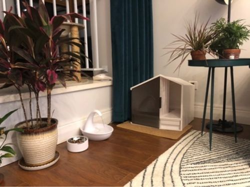 Customer photo review of Furrytail XL Semi-Closed Glow House Cat Litter Box with Scoop