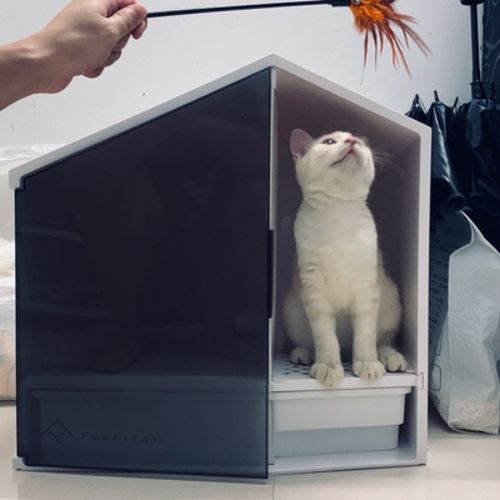 Customer photo review of Furrytail XL Semi-Closed Glow House Cat Litter Box with Scoop