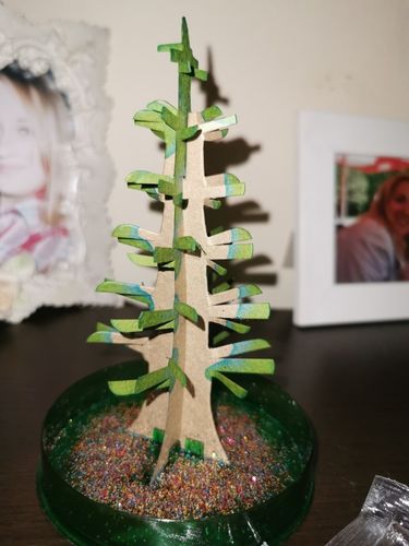 Customer photo review of Magic Growing Christmas Tree