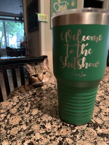 Customer photo review of Welcome To The Shit Show Laser Etched Tumbler