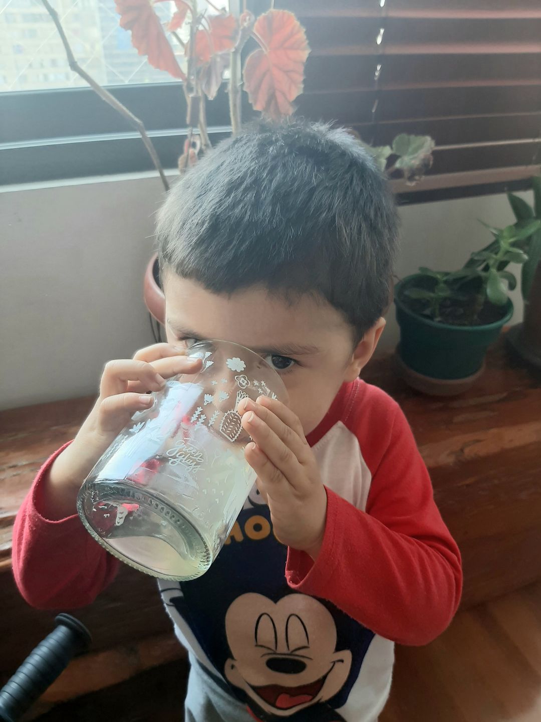 Customer photo review of Flora & Fauna