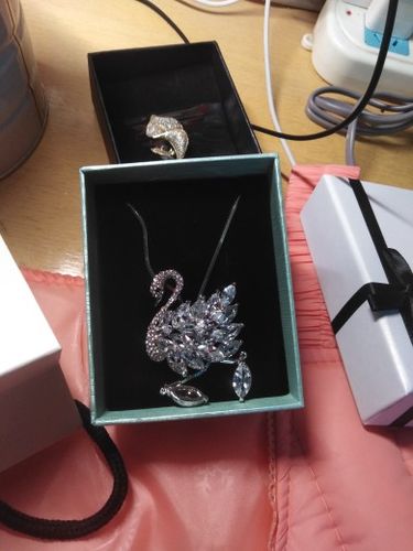 Customer photo review of Swan crystal sweater Long Necklace Dressy Pendant