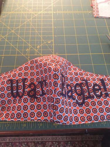 Customer photo review of Mask Insert - Contoured - 10 Count