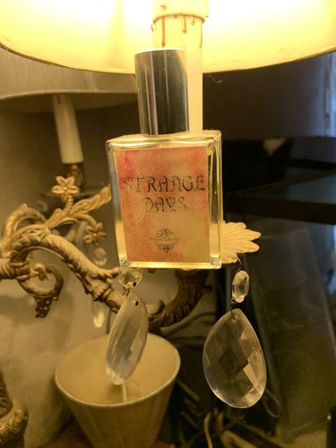 Customer photo review of Strange Days