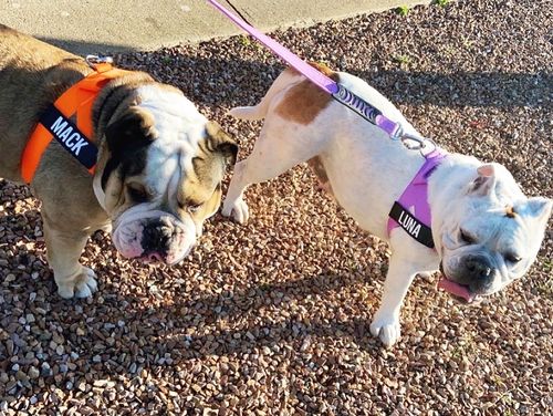 Customer photo review of Signature Kit