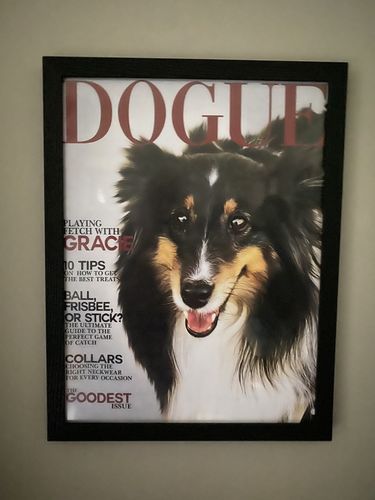 Customer photo review of Prints