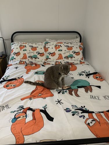 Customer photo review of Different Forms Cute Sloth Bedding Set