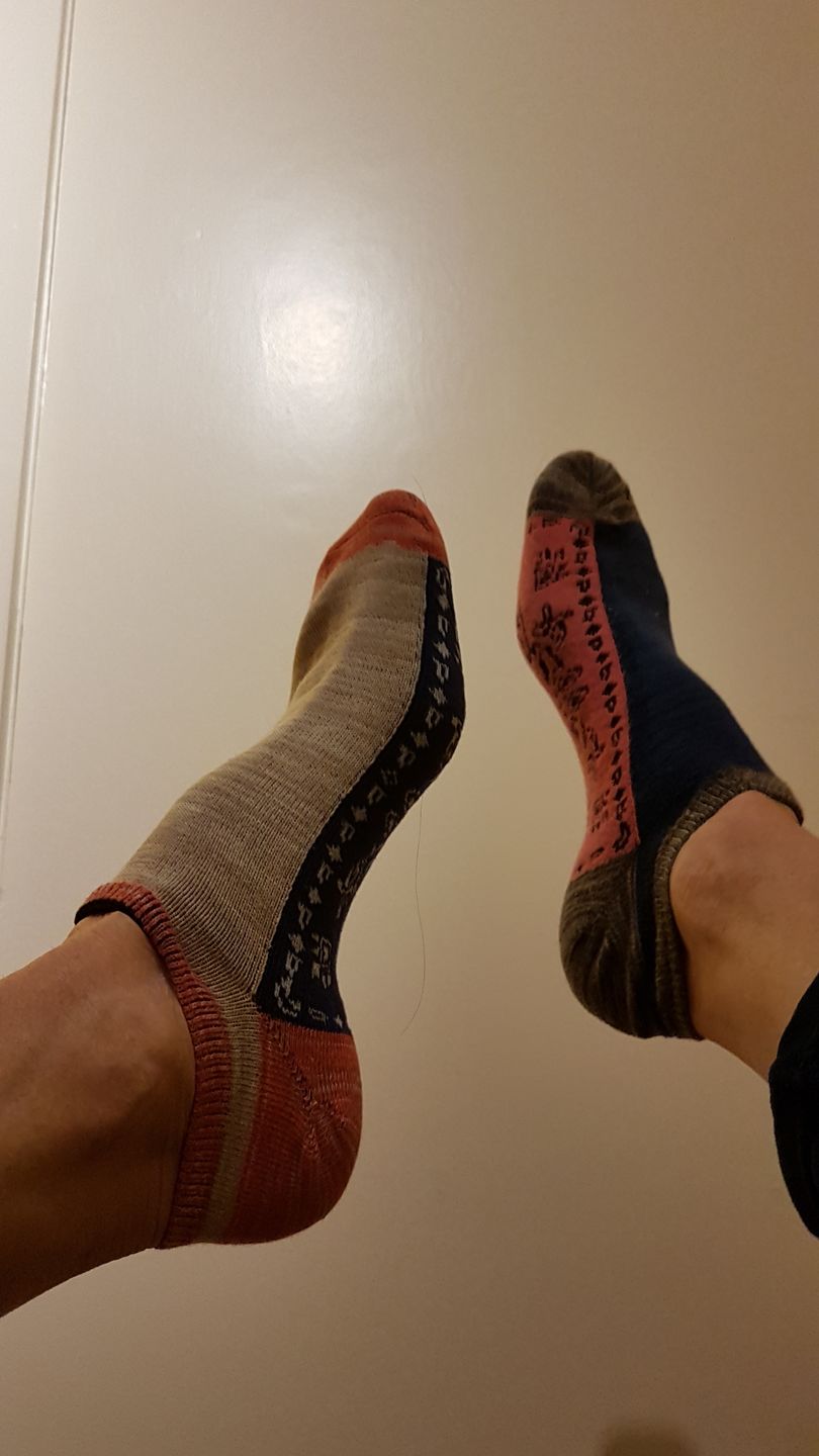 Customer photo review of Spring Autumn Jacquard Color Matching Socks (5 Pairs)
