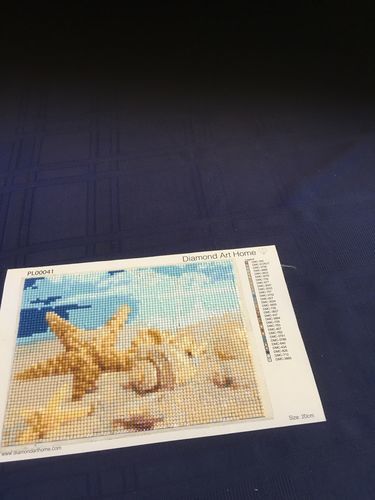 Customer photo review of Starfish Diamond Painting Kit - DIY