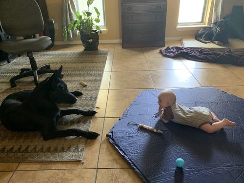 Customer photo review of Pop N' Go® Self-Inflating Mattress