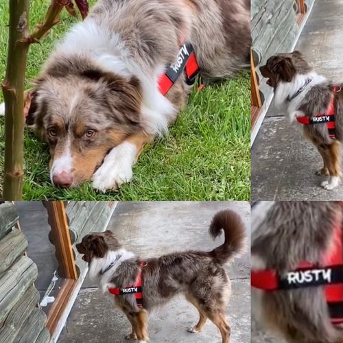 Customer photo review of Signature Kit