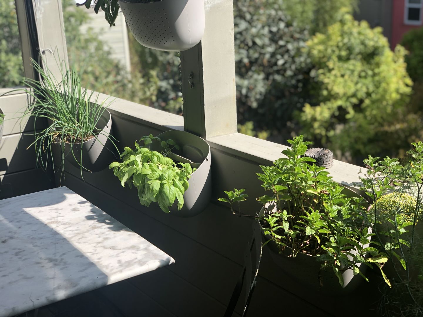 Customer photo review of Wally Eco Stone Wall Planter