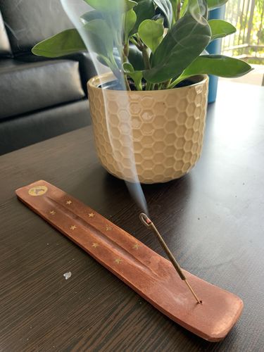 Wildberry ZEN Incense 10 sticks pack FREE SHIPPING Sude Musk Woods Moss