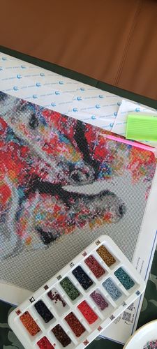 Customer photo review of Diamond Painting - Pferde