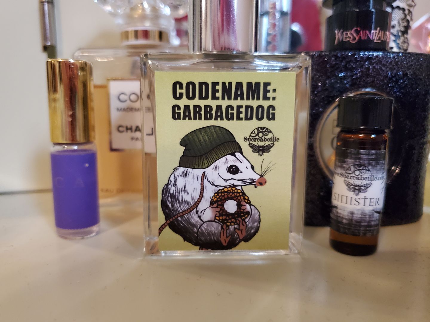 Customer photo review of Codename: Garbage Dog