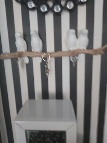 Customer photo review of Singing Birds Hanger