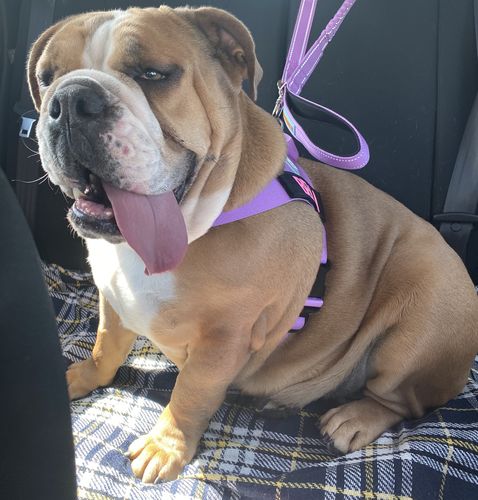 Customer photo review of Signature Kit