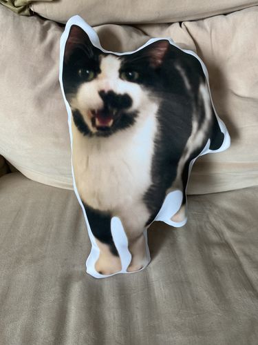 Customer photo review of Create A Custom Cat Pillow