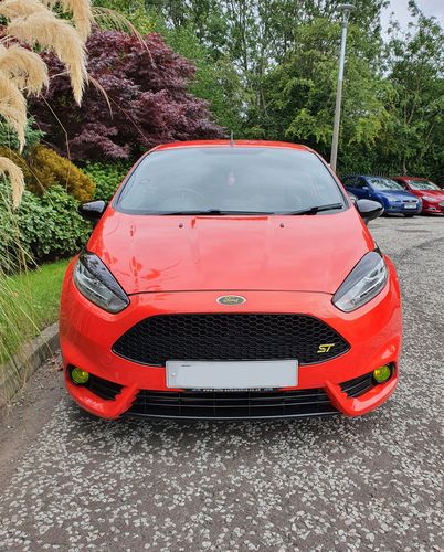 Customer photo review of Fiesta ST180 Fog Light Armour