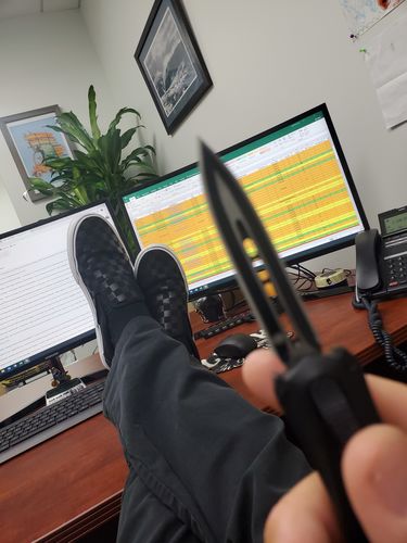 Customer photo review of VIPER X5