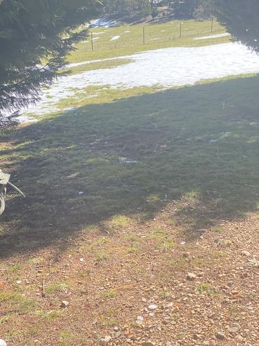 Customer photo review of Signature Kit