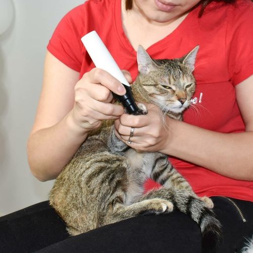 Customer photo review of Pet Nail Ginder