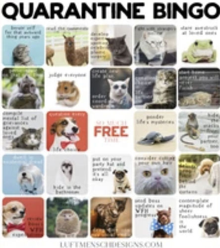 Customer photo review of Quarantine BINGO