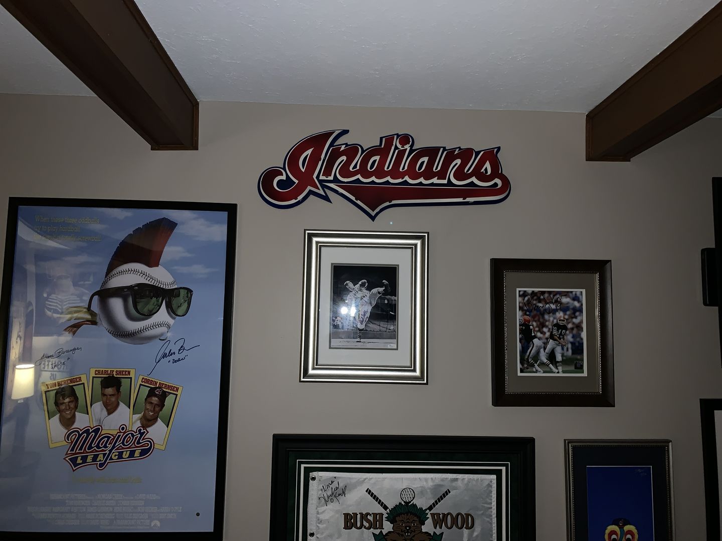 Customer photo review of Cleveland Indians Script Logo 3D Metal Artwork