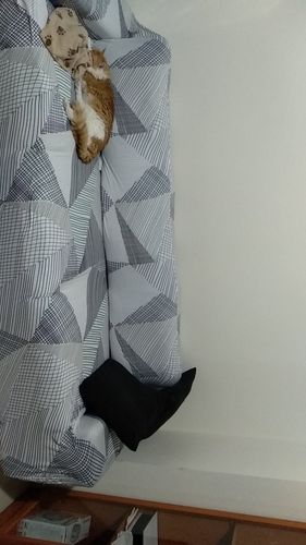 Customer photo review of Pimp dein Sofa Elastik Muster Sofa Hülle