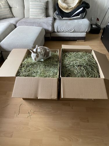 Customer photo review of 50/50 Hay Box