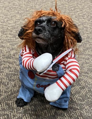 Customer photo review of Petyfy™ Scary Doll