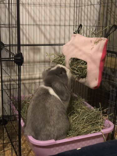 Customer photo review of 50/50 Hay Box
