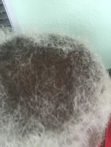 Customer photo review of PureFix Hair Elixir