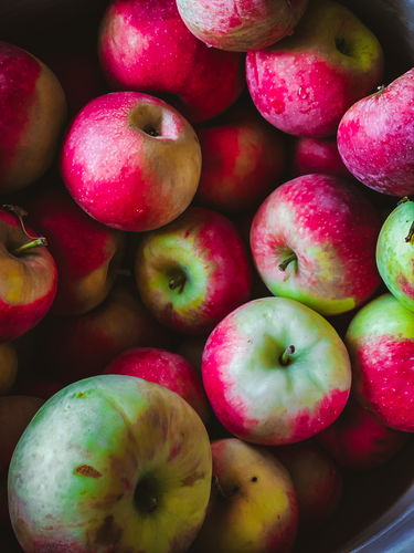 Customer photo review of HUSKY MOBILE LIGHTROOM PRESETS