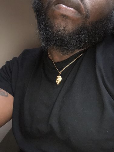 Customer photo review of Lion (Gold)