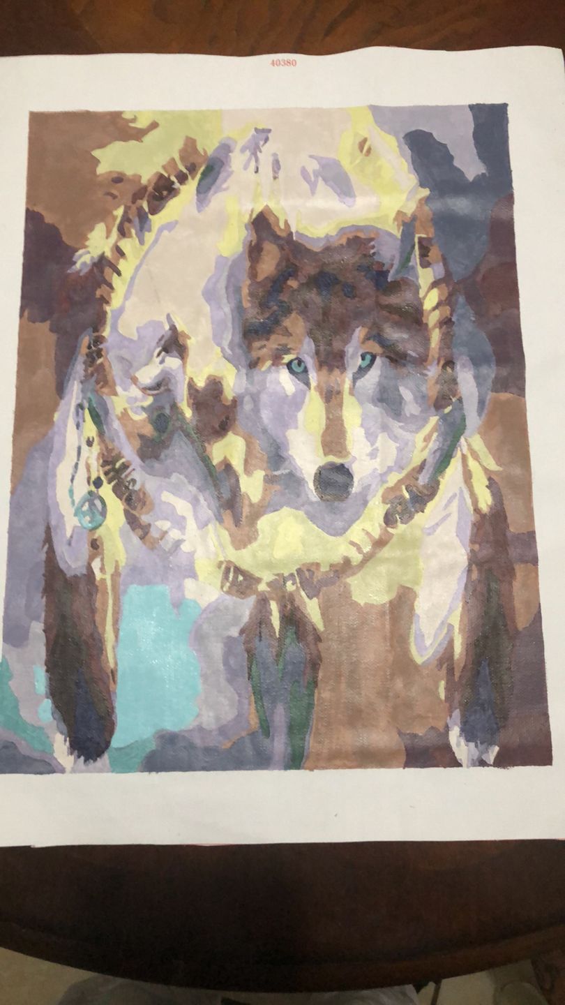 Customer photo review of FREE Paint By Numbers Kit