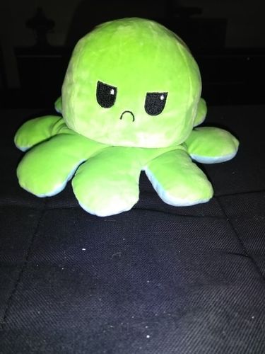 Customer photo review of Moody Octopus Plush